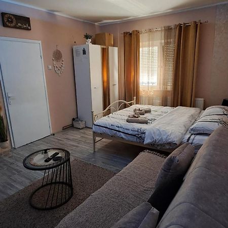 Apartman Iva Zaječar Dış mekan fotoğraf